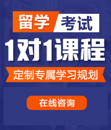 男人鸡巴曹小骚逼视频留学考试一对一精品课